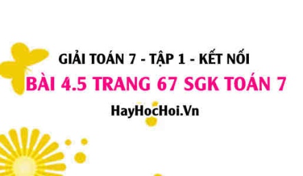 Giải bài 4.5 trang 67 Toán 7 Tập 1 SGK Kết nối tri thức